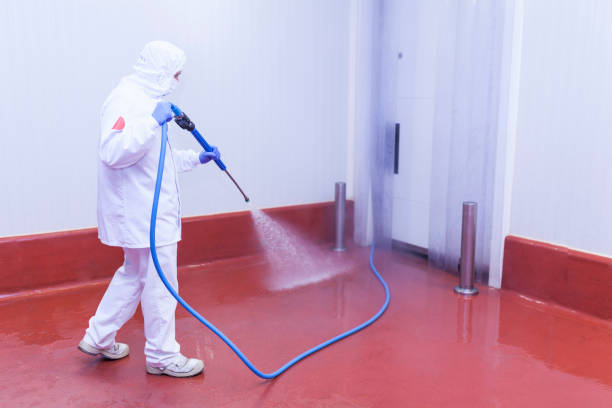 Trusted Hermitage, PA Pressure Washing Experts